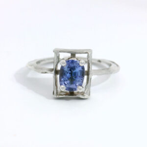 Cosmos tanzanite 1
