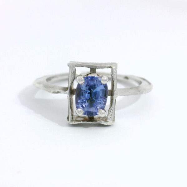 Cosmos tanzanite 1