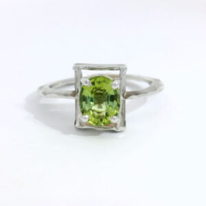 Cosmos tourmaline verte 1