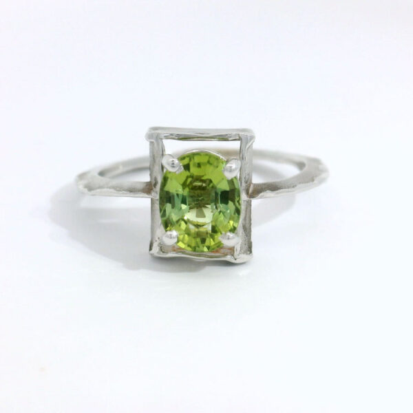 Cosmos tourmaline verte 1